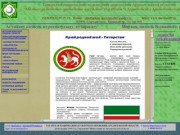 МРОМ "Нур Ислам" г.Архангельска и Архангельской области, Татарская нац-культурная Автономия