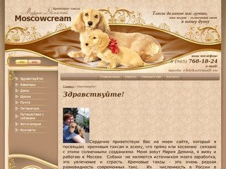 Кремовая такса Разведение такс - Moscowcream
