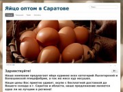 Яйцо оптом в Саратове