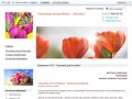 Купить тюльпаны оптом - хозяйство Тюльпан