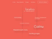 Дизайн студия Бинетика: Создание сайтов и разработка логотипа