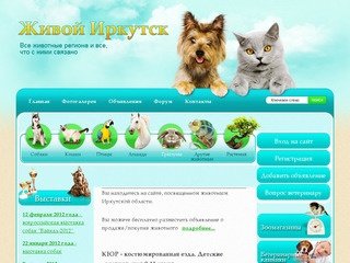 Сайт о животных: выставка собак, кошек в Иркутске 2011 - Живой Иркутск