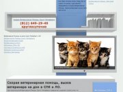 Гуманное усыпление животных, усыпление собак, кошек в Санкт-Петербурге