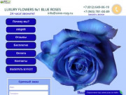 Синие розы купить в Санкт-Петербурге, круглосуточная срочная доставка букетов 24 часа