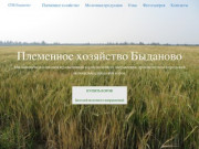 СПК Быданово, Кировская область, официальный сайт