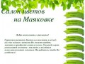 Салон цветов на Маяковке