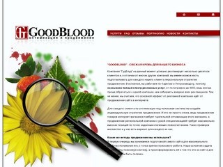 Оптимизация и продвижение сайтов в Петрозаводске (SEO) | "GoodBlood"