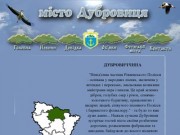 Сайт міста Дубровиця