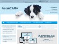 Korm72.ru - интернет-магазин кормов для собак в Тюмени. Купить корм для собак с доставкой на дом.