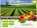 Агрофирма "Лето" овощи г.Краснодар, редис, свекла, лук, капуста