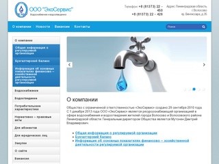 Водоснабжение и водоотведение в Волосово от компании ООО «ЭкоСервис»