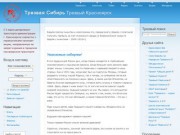 Трезвая Сибирь | Трезвый Красноярск