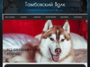 Питомник хаски "Тамбовский волк", собаки породы сибирский хаски