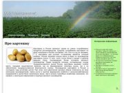 Продажа картофеля в г. Бузулук и Оренбургской области :