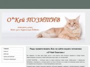 Питомник кошек МЕЙН-КУН и КУРИЛЬСКИЙ БОБТЕЙЛ в Омске