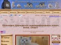 Питомник британских короткошерстных кошек WOOL SPIRIT, Белгород