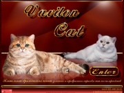 Vavilon Cat-Питомник Британских Кошек