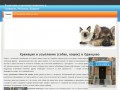Усыпление и кремация собак, кошек в Одинцово Истра Рублевка кремация домашних животных Красногорск