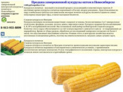 Продажа оптом замoроженной венгерской кукурузы в початках в Новосибирске отправка в другие регионы