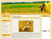 Terra-Tentorium.ru - пчеловодство Саратова, мёд и продукция тенториум в Саратове и Энгельсе 
