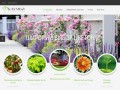 Купить растения интернет магазин