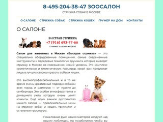 Салон груминга | Где постричь собак и кошек в Москве