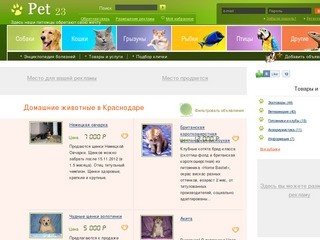 Домашние животные в Краснодаре: продажа животных, дарение, вязка