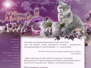 Питомник Британских кошек Noble Birth в Минске | Купить британского котёнка 