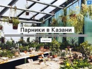 Парники в Казани