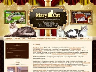 Mary Cat - питомник кошек, Екатеринбург. Разведение кошек, купить котенка, куплю котенка