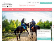 Катание на лошадях в Санкт-Петербурге. Прогулки на лошадях по живописным местам.