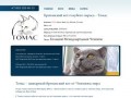 ТОМАС – британский кот для вязки голубого окраса. Титул: БОЛЬШОЙ МЕЖДУНАРОДНЫЙ ЧЕМПИОН
