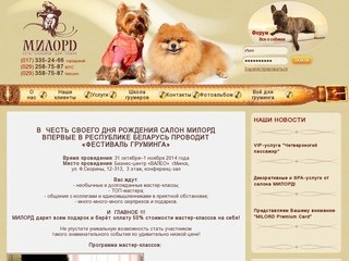 Салон красоты для собак, стрижка собак в Минске цены