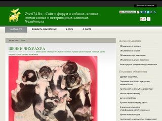 Zveri74.Ru - Сайт и форум о собаках, кошках, зоомагазинах и ветеринарных клиниках Челябинска