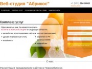 Раскрутка и продвижение сайтов в Новосибирске