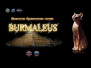Питомник бурманских кошек BURMALEUS! - Бурманские кошки-Питомник бурманских кошек BURMALEUS!