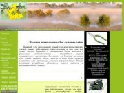 Ландшафтный дизайн в Воронеже, озеленение в Воронеже, газонная трава