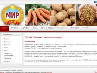 ТНВ МИР - Продажа семенного картофеля