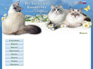 Новости | Питомник сибирских кошек 