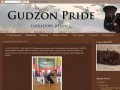 Лабрадоры "Gudzon Pride" г. Уфа