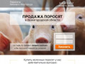 Купить поросят, молочных, маленьких, живых, мясных пород на откорм в Нижнем Новгороде