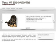 У нас вы можете купить щенков Тибетского Мастифа -  Братск Иркутск | tibet-bratsk.ru