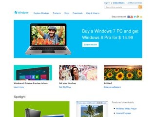 Internet Explorer - Microsoft Windows (браузер Internet Explorer)