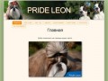 Ши-тцу, стаффорды, щенки в Екатеринбурге - питомник Прайд Леон Pride Leon