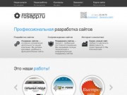 Профессиональная разработка сайтов — Росапп