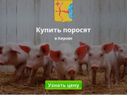 Купить поросят, молочных, маленьких, живых, мясных пород на откорм в Кирове и области