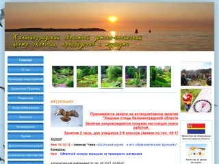 Калининградский областной детско-юношеский центр экологии, краеведения и туризма