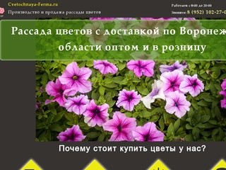 Рассада цветов оптом и в розницу с доставкой по Воронежской области
