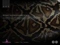 Python4you.ru-интернет магазин изделий из экзотической кожи,Москва,Россия