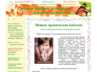 Компания ВАНЕССА, Новосибирск. Продажа бабочек. Живые бабочки в подарок